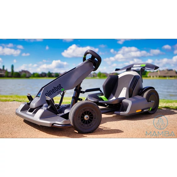 Segway Ninebot Gokart pro