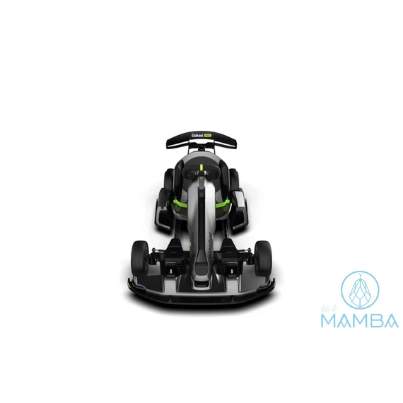 Segway Ninebot Gokart pro